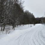 Зима в Подмосковье